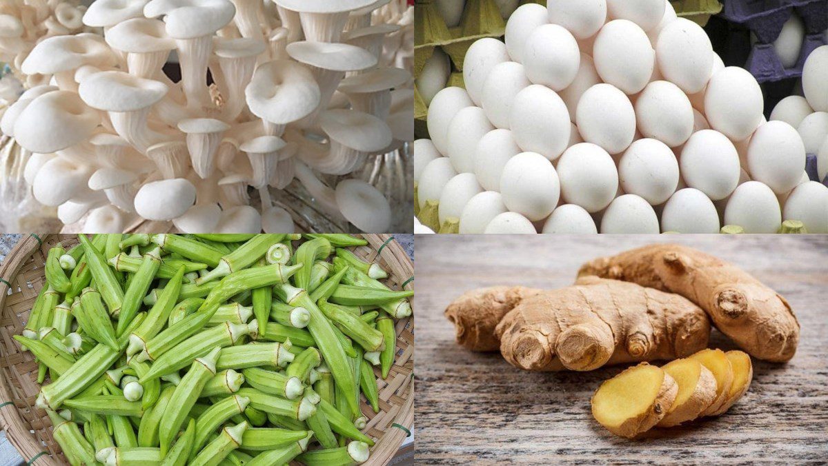 Ingredients for oyster mushroom stir-fried with eggs