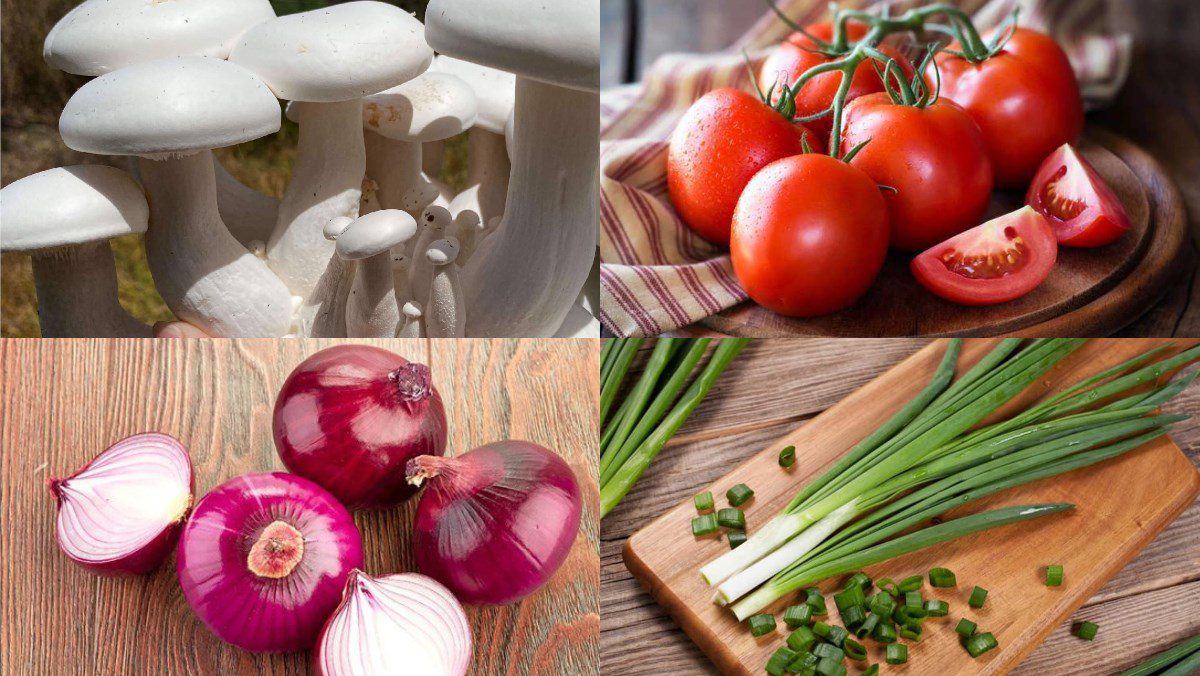 Ingredients for tomato sauce mushrooms