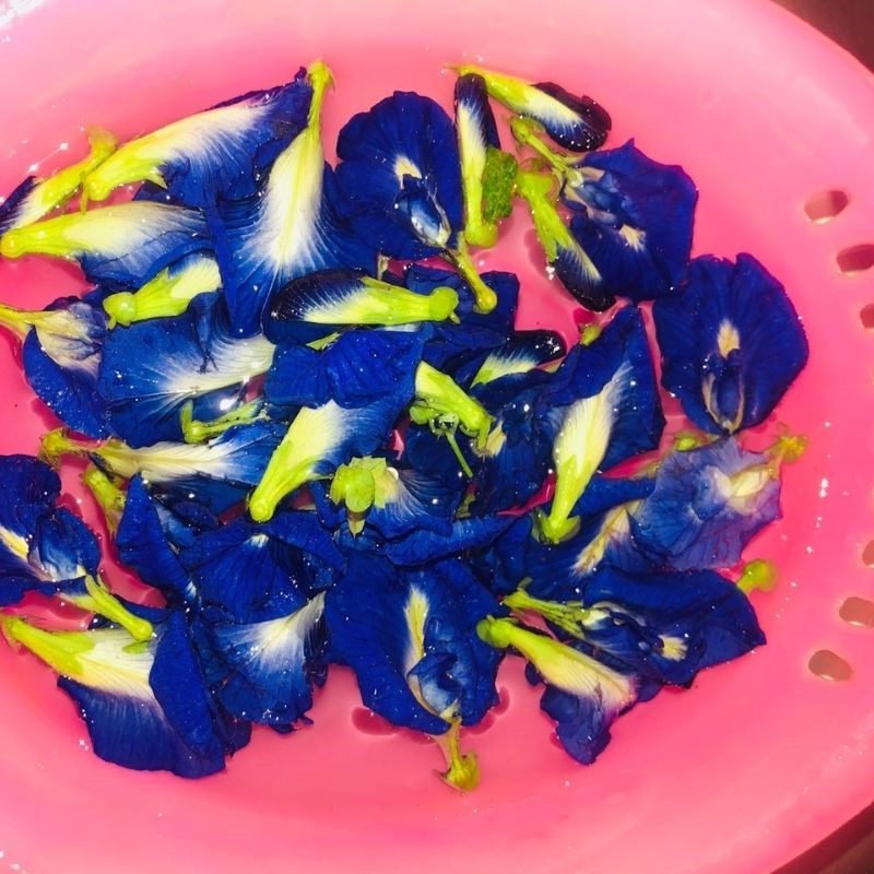 Step 2 Soak butterfly pea flowers with orange