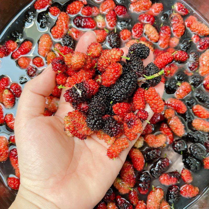 Step 1 Soak and Cook Mulberries with Sugar Mulberry Jam