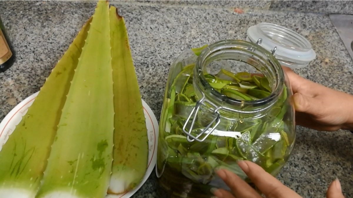 Aloe Vera with Honey and Alcohol