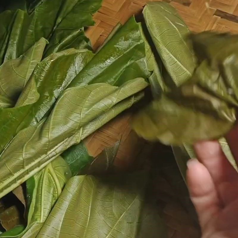 Step 5 Pick young fig leaves Ant egg cake