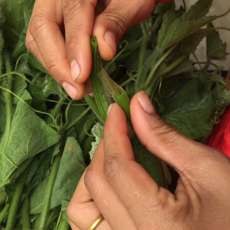 Step 1 Picking Gourd Leaves Stir-fried Gourd Leaves with Garlic