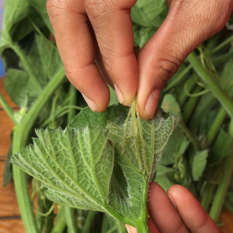 Step 1 Picking Gourd Leaves Stir-fried Gourd Leaves with Garlic