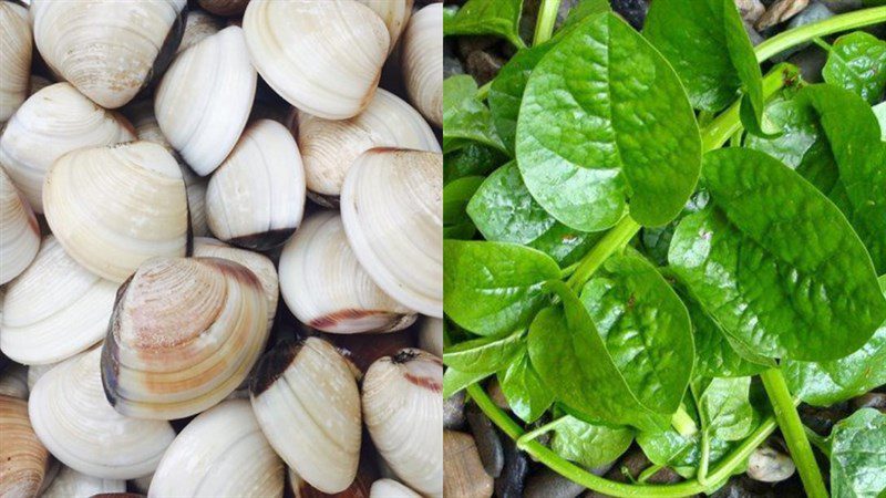 Ingredients for the dish of amaranth soup cooked with clams, amaranth soup cooked with razor clams