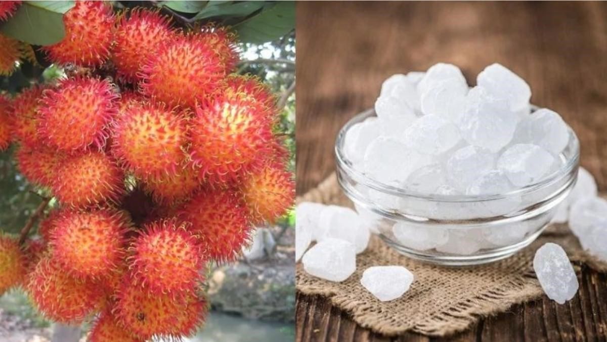 Ingredients for lychee syrup dish