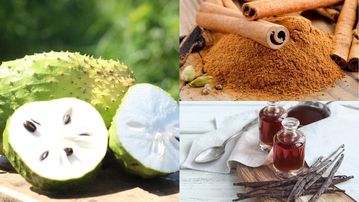 Ingredients for soursop juice (graviola)