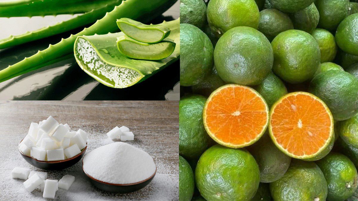 Ingredients for aloe vera and orange juice