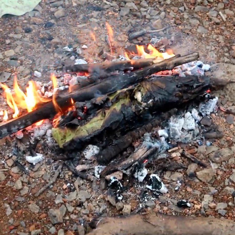 Step 3 Grilling the fish Grilled snakehead fish with lotus leaves