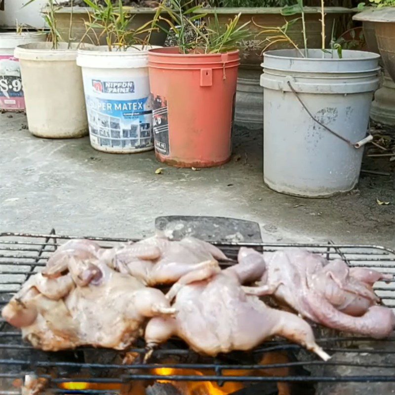 Step 3 Grilling quail Honey oyster sauce grilled quail