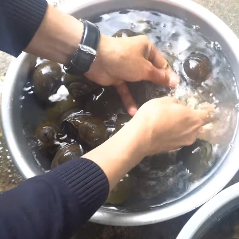 Step 1 Prepare and boil the apple snails Grilled apple snails with black pepper