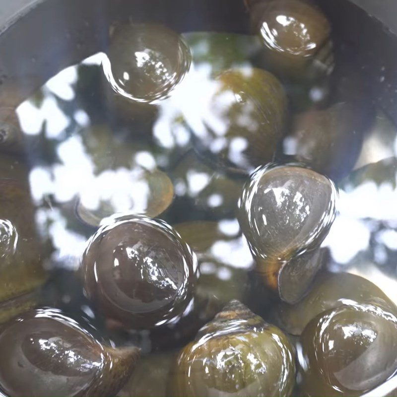 Step 1 Prepare and boil the apple snails Grilled apple snails with black pepper