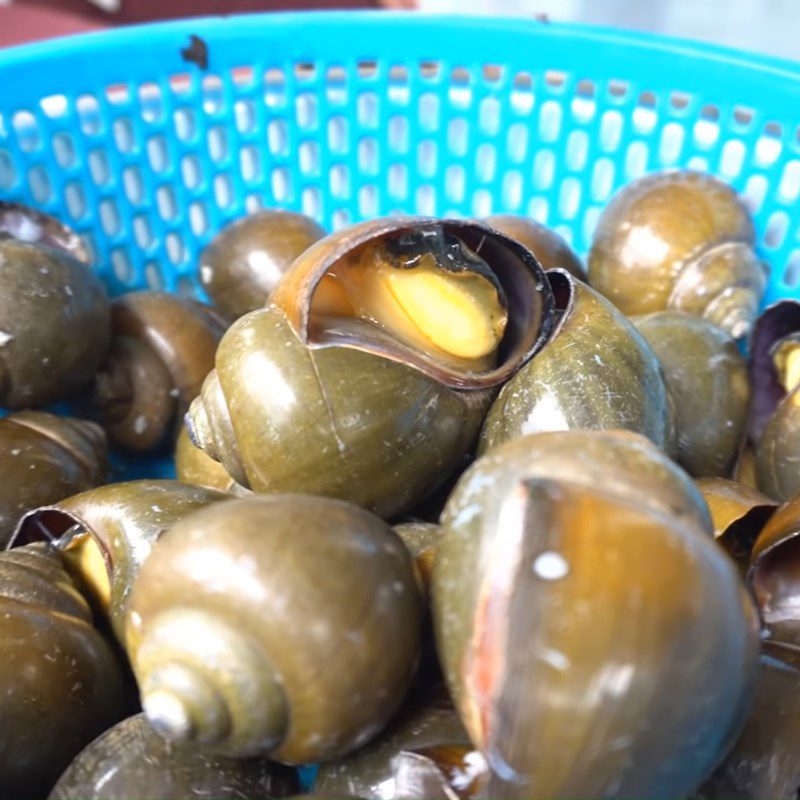 Step 1 Prepare and boil the apple snails Grilled apple snails with black pepper