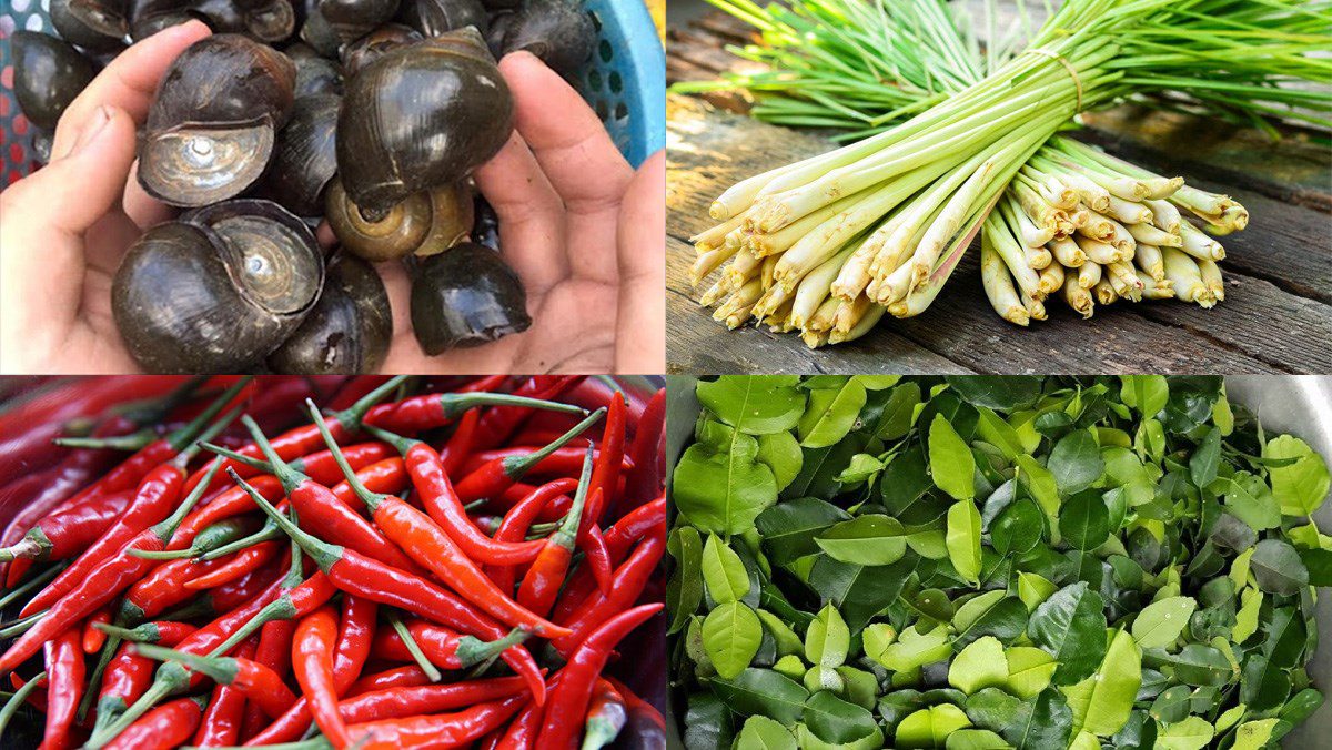 Ingredients for mixed snail salad