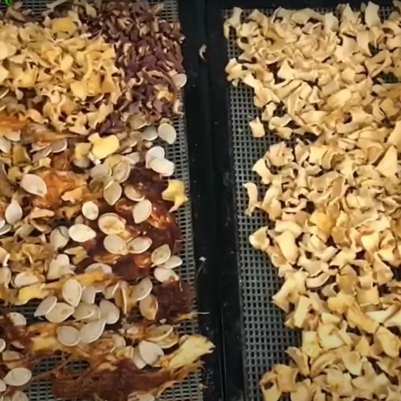 Step 3 Sorting the dried pumpkin Dry pumpkin powder