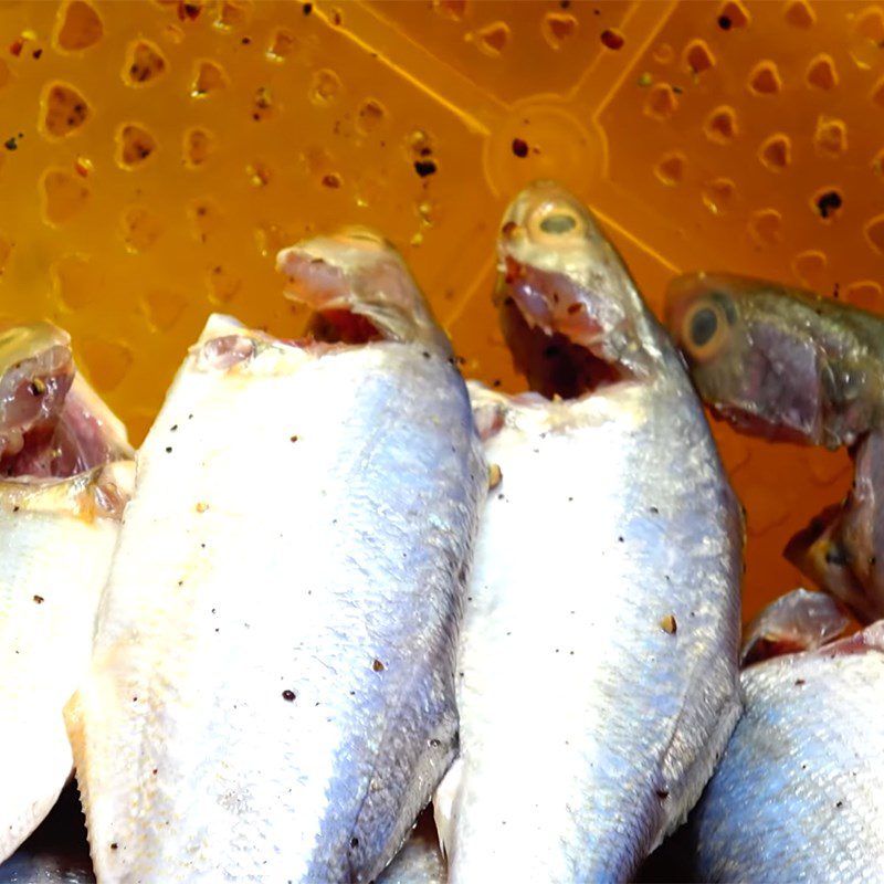 Step 4 Drying the fish