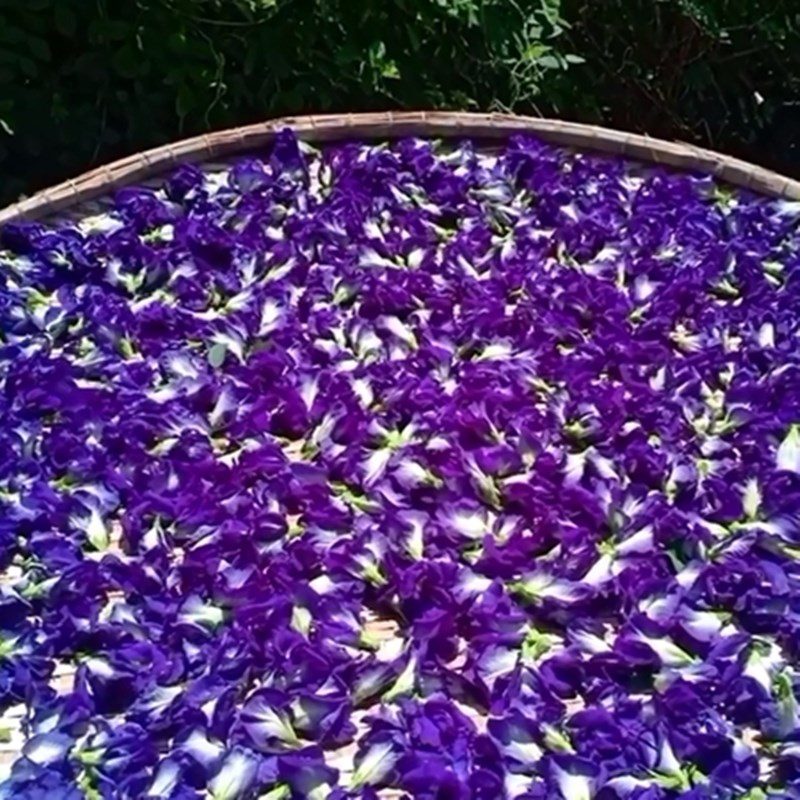 Step 2 Drying butterfly pea flowers Dried butterfly pea flower tea