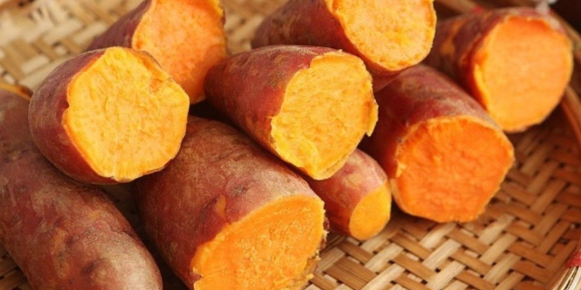 pocket tips for delicious sweet potatoes that keep their quality 11124