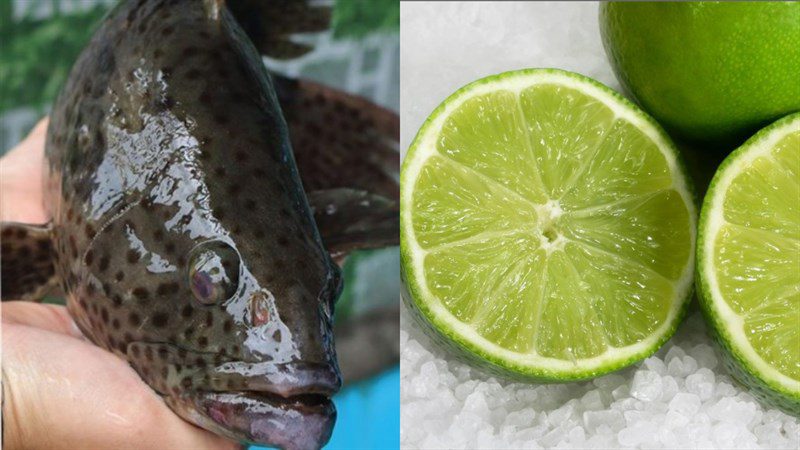 Ingredients for pomfret salad with lime