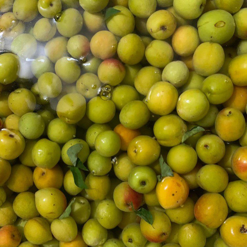 Step 1 Prepare the plums for Umeshu Plum Wine (Recipe shared by users)