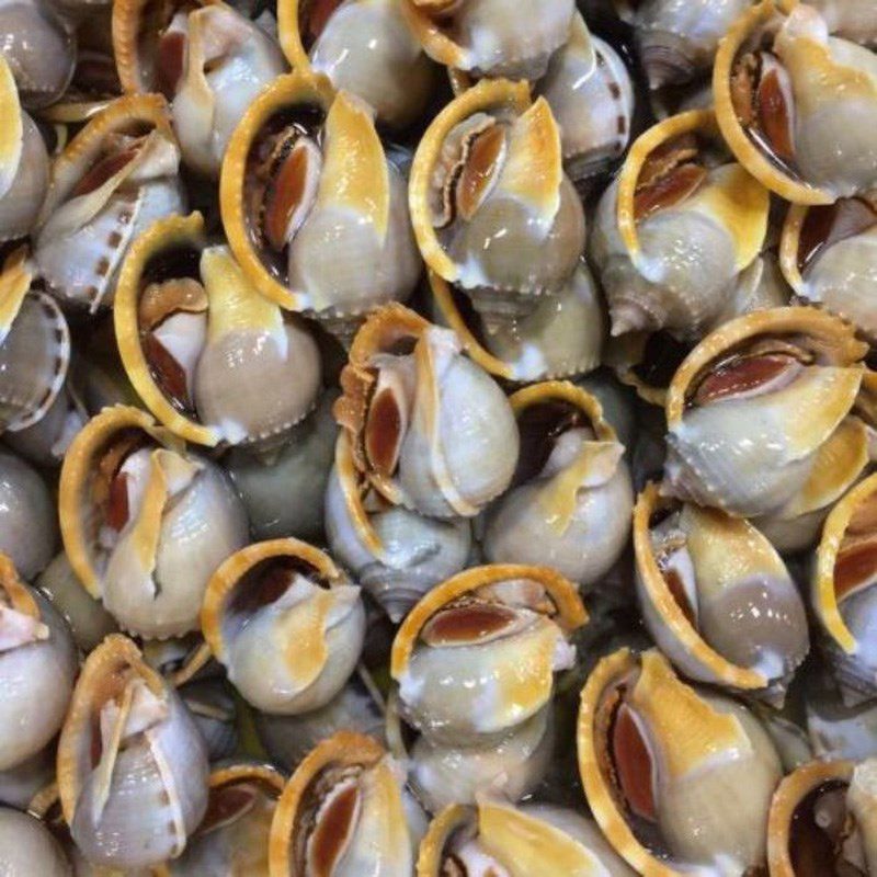 Step 1 Preparing the snails Grilled Garlic Snails with Fish Sauce