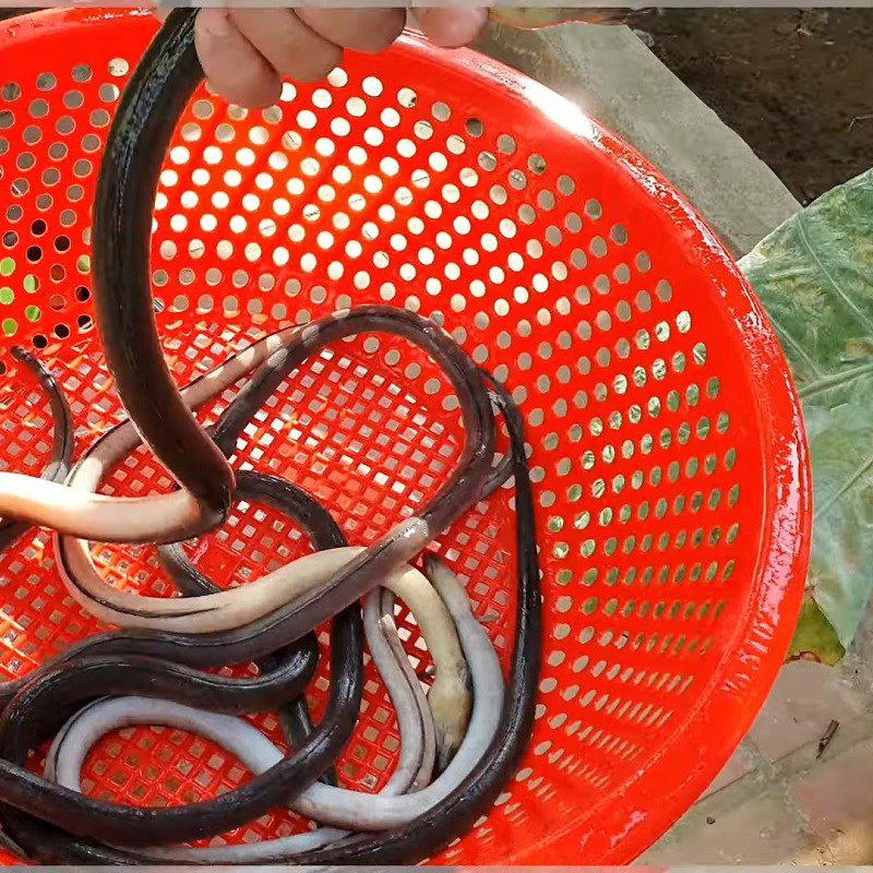 Step 1 Preparing the fish Grilled Snakehead Fish Salad (Gỏi nhệch)