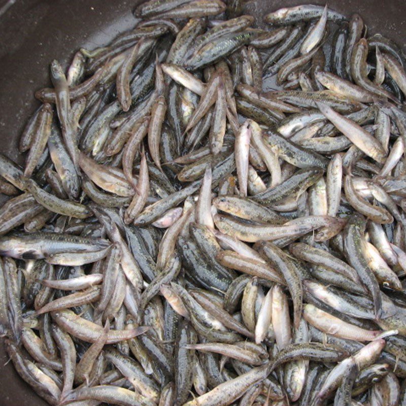 Step 1 Prepare goby fish for braised goby fish