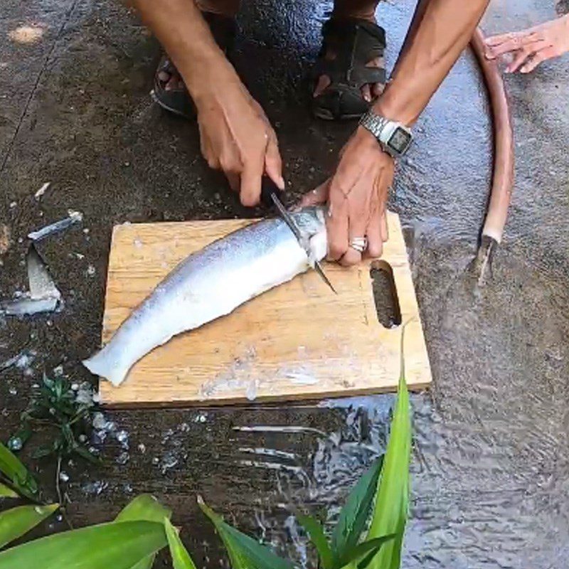 Step 1 Prepare the snakehead fish Braised snakehead fish with pepper