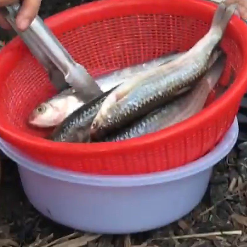 Step 1 Prepare the fish Grilled Fish