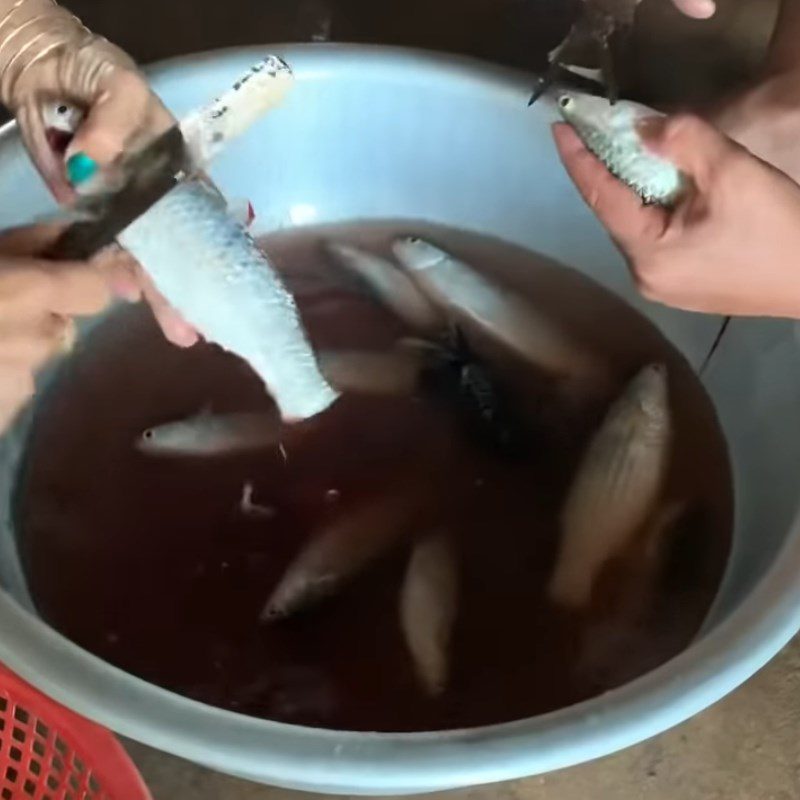 Step 1 Prepare the fish Braised fish