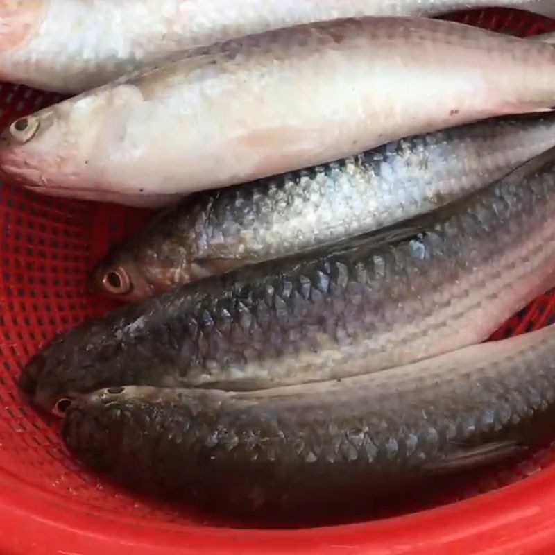 Step 1 Prepare the fish Grilled Fish