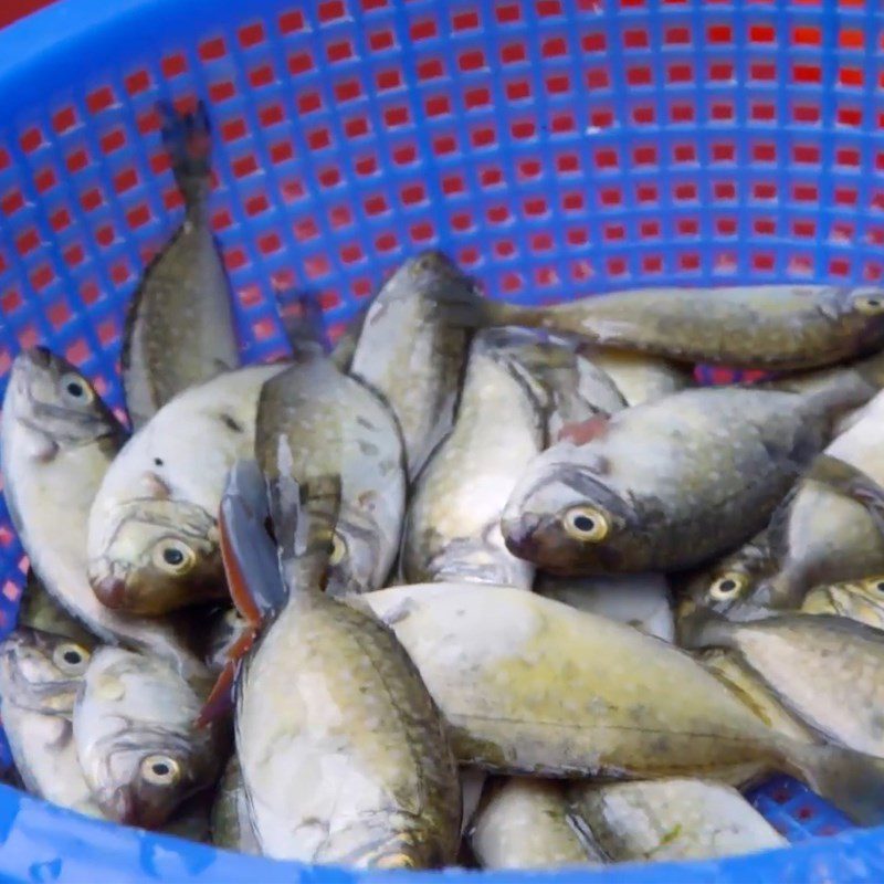 Step 1 Prepare Kinh Fish Kinh Fish Cake - Kinh Fish Pancake