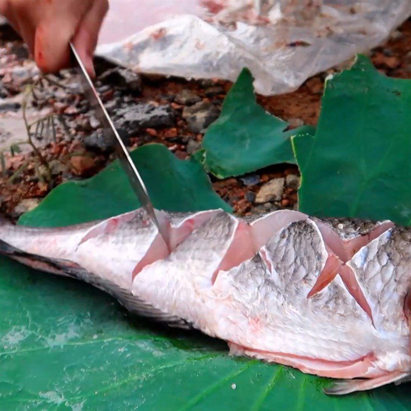 Step 1 Prepare snakehead fish Grilled snakehead fish with lotus leaves