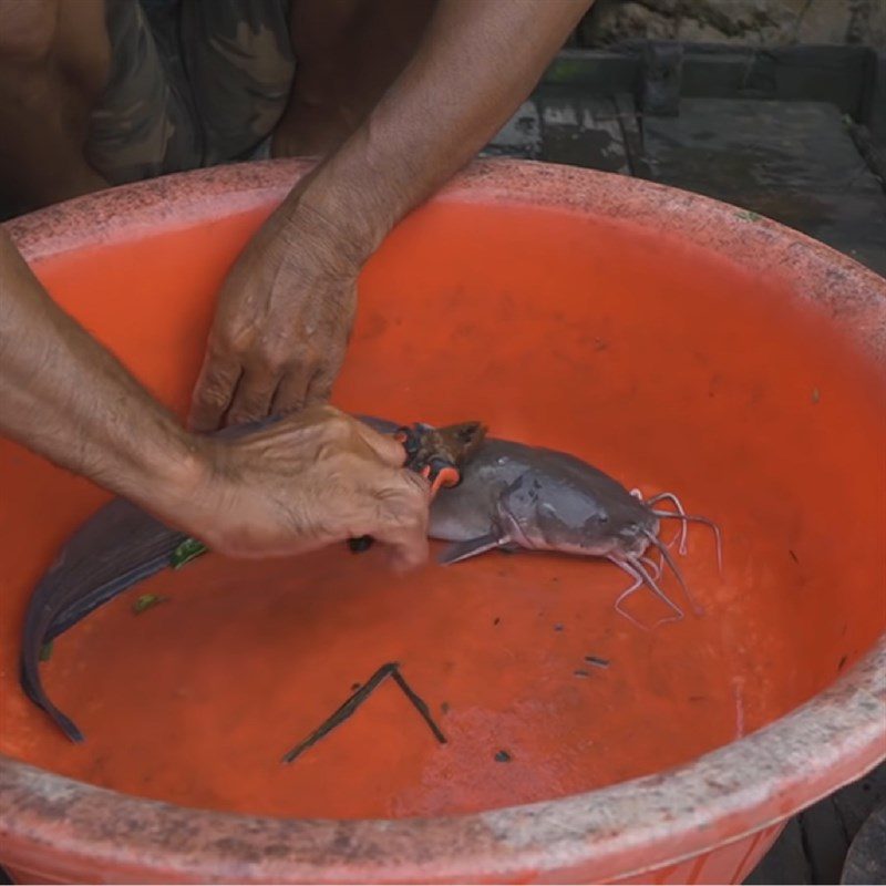 Step 1 Prepare the catfish Catfish in sour soup