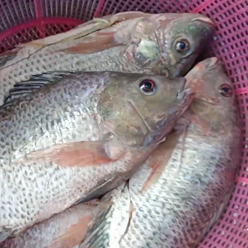 Step 1 Prepare tilapia for raw tilapia salad