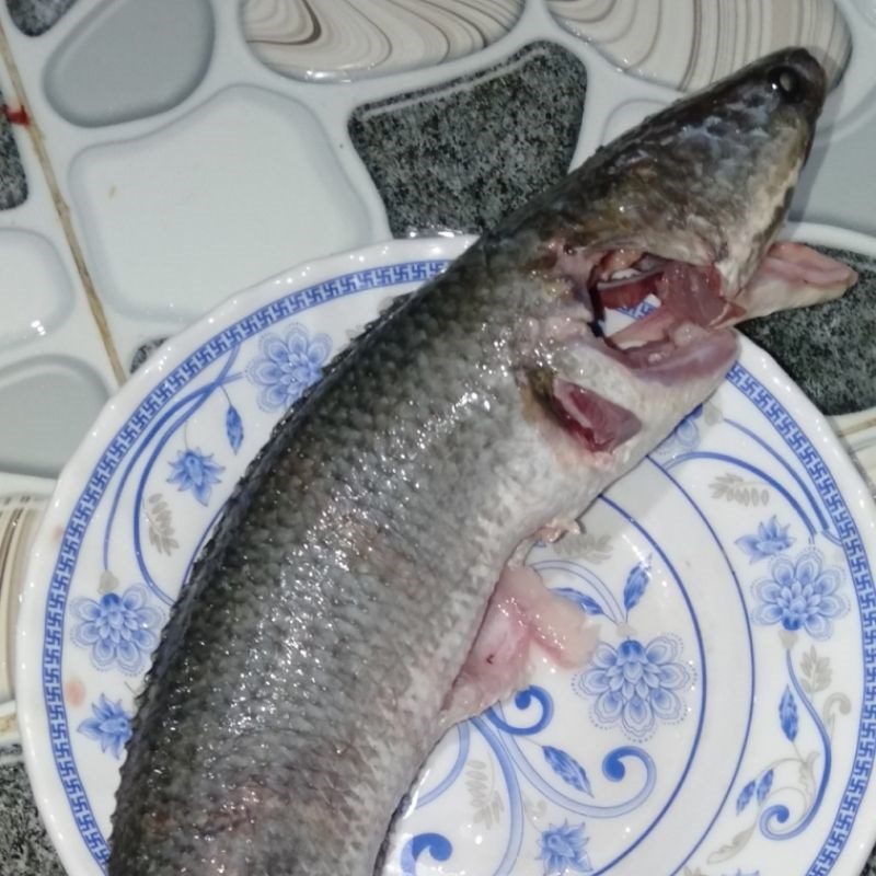 Step 1 Prepare the ingredients for Squash Flower Soup with Snakehead Fish