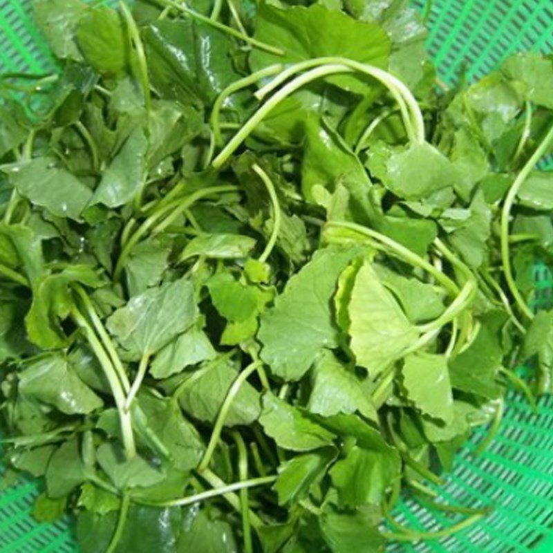 Step 1 Prepare the Ingredients for Green Mung Bean with Gotu Kola (recipe shared by users)