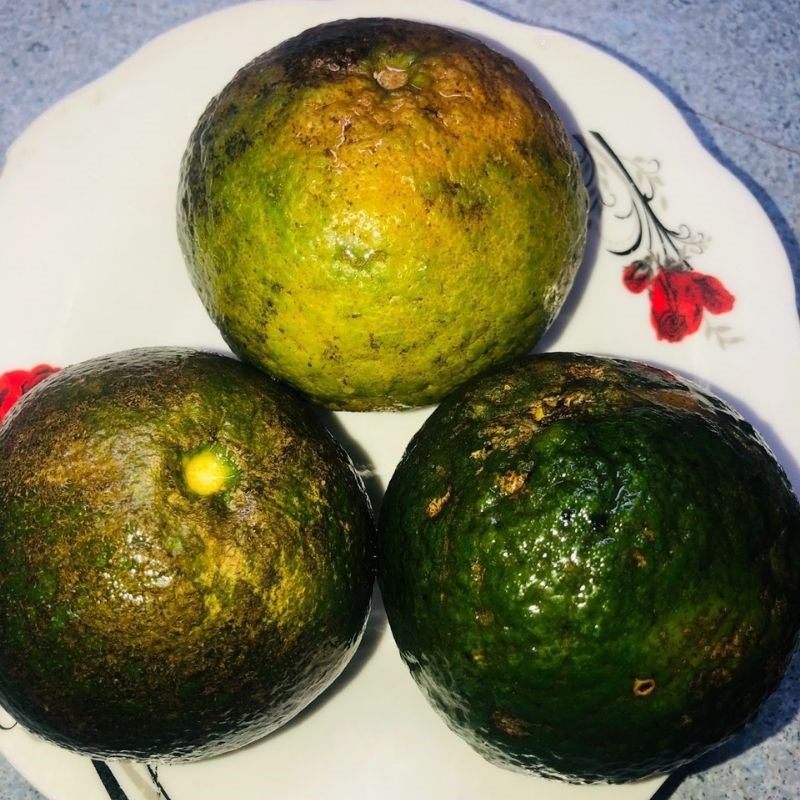 Step 1 Prepare Fresh Oranges for Juicing