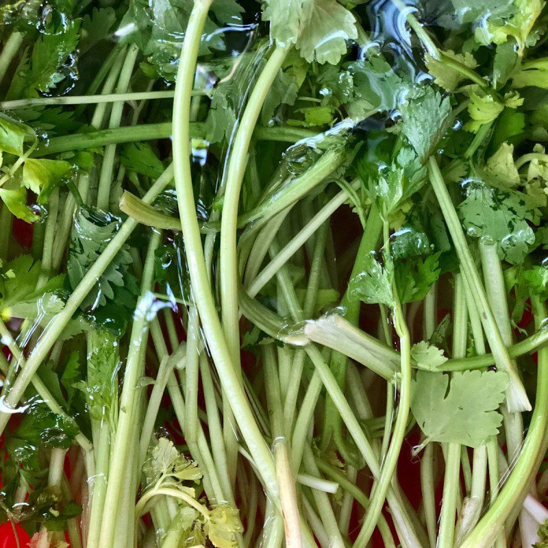 Step 1 Prepare celery for Carrot Celery Juice