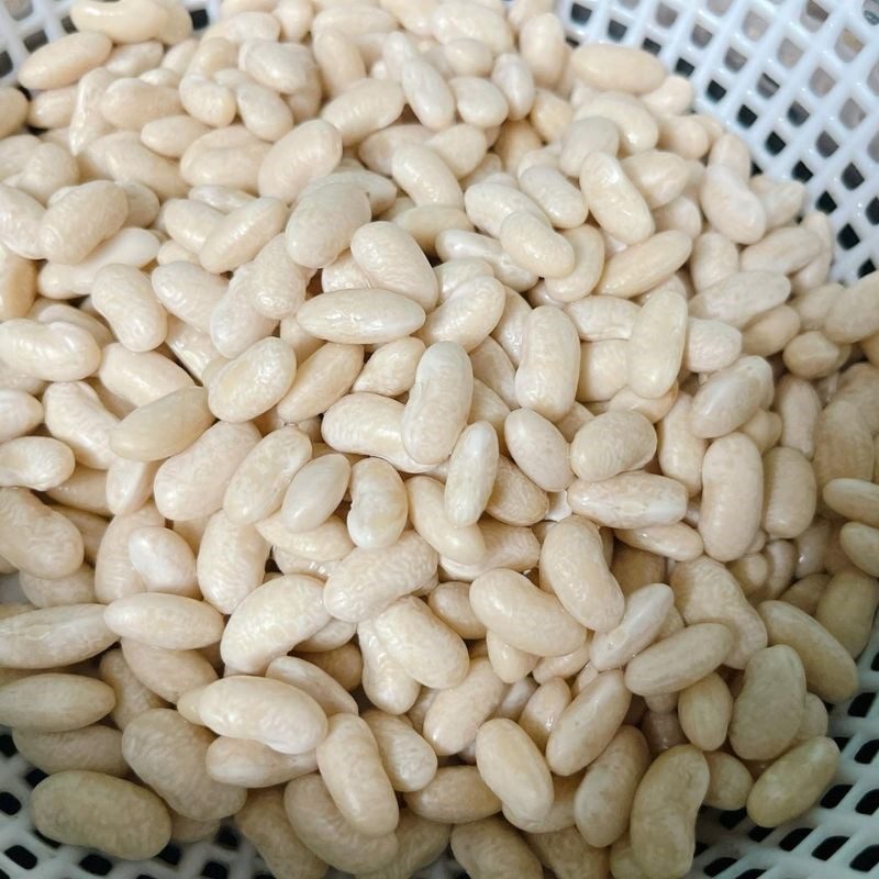 Step 1 Prepare the white beans for White Bean Mung Bean Pudding with Grated Coconut