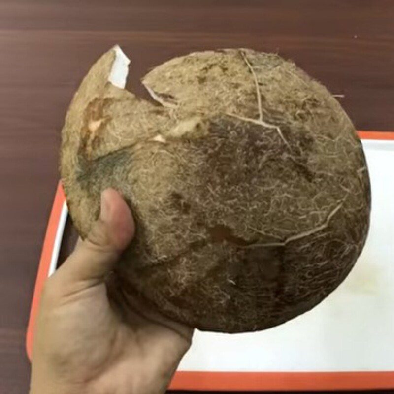 Step 1 Prepare the Coconut for Oven-Baked Coconut Jam