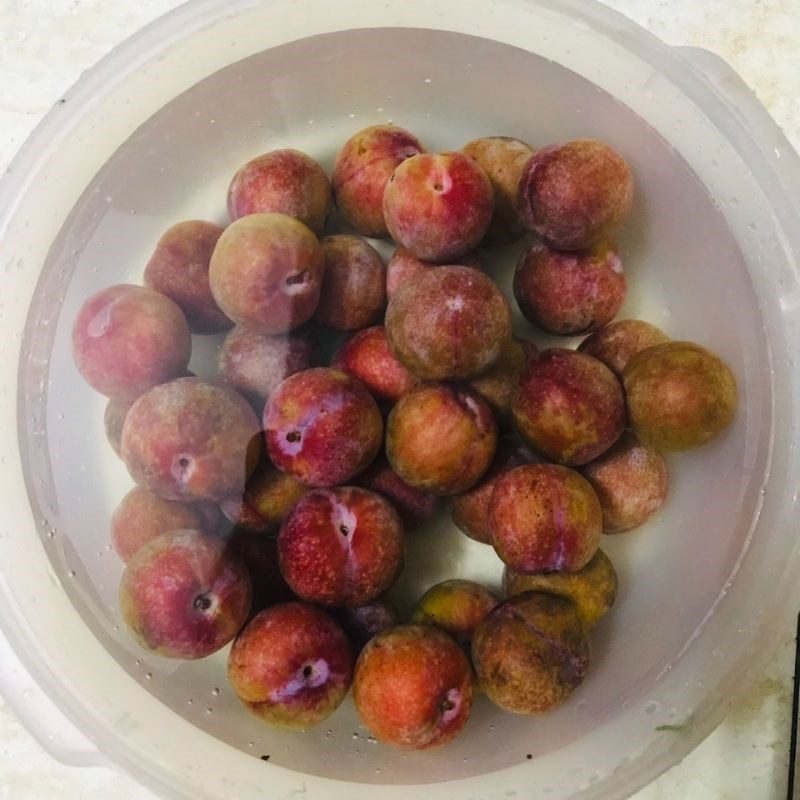 Step 1 Prepare northern plums Plum Wine (Recipe shared by a user)