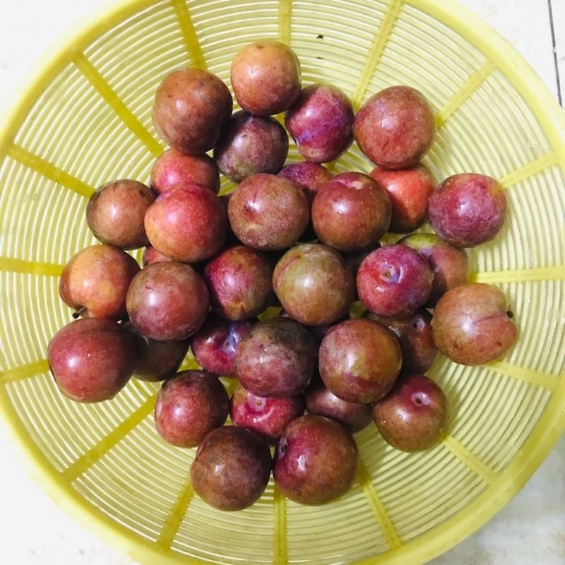 Step 1 Prepare northern plums Plum Wine (Recipe shared by a user)