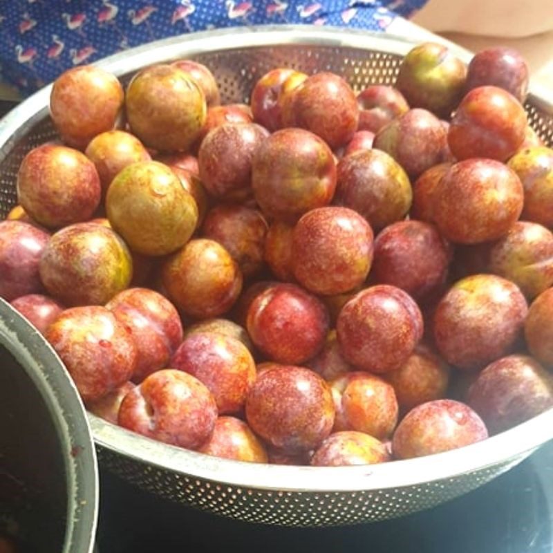 Step 1 Prepare Hanoi plums Hanoi Plum Jam (recipe shared by users)