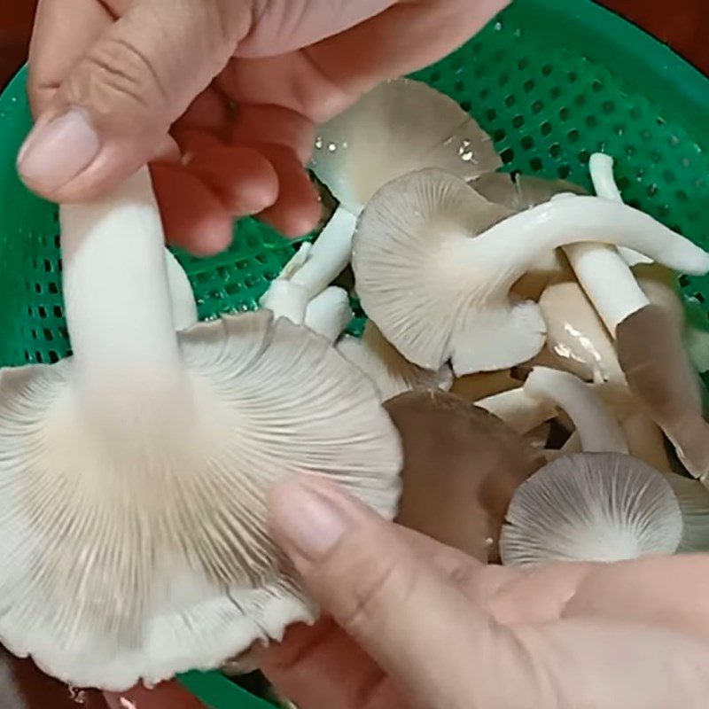 Step 1 Prepare oyster mushrooms Simple steamed oyster mushrooms with lemongrass