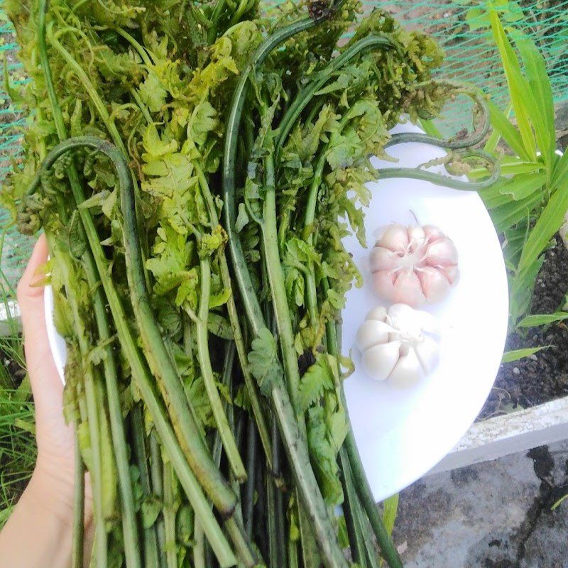 Step 1 Prepare Ingredients for Stir-Fried Ferns with Garlic