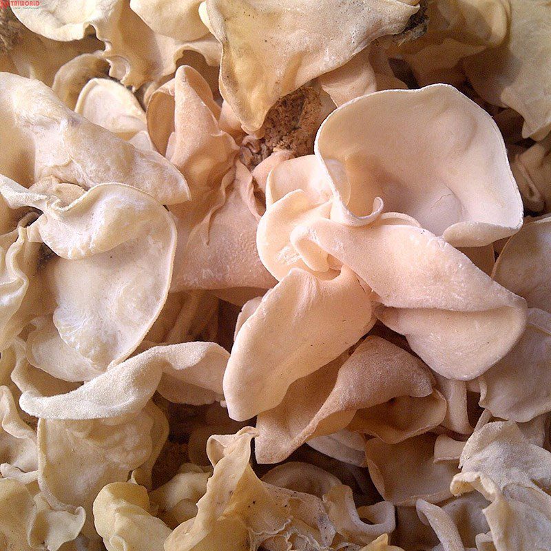 Step 1 Prepare the ingredients for sweet and sour pickled pig's ears