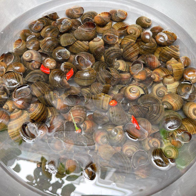 Step 1 Soak and clean the snails Snail Cake wrapped in Betel Leaves (recipe shared by users)