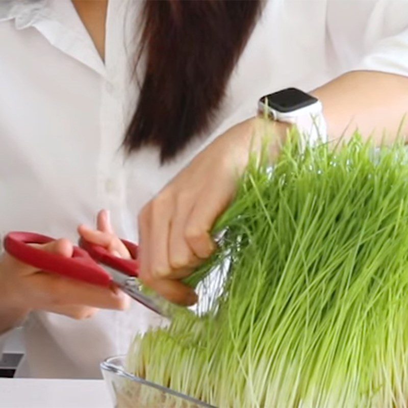 Step 1 Prepare the ingredients for Wheatgrass Juice