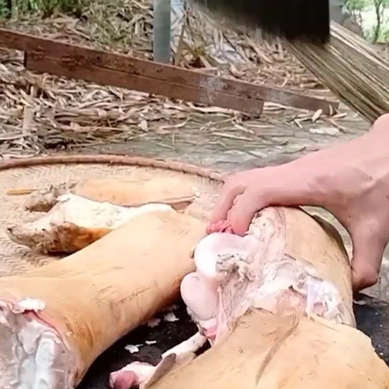 Step 1 Prepare the ingredients for Braised Beef Trotters with Chinese Medicine